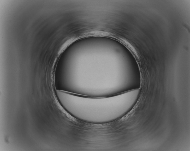 X0000098021381200803280743
