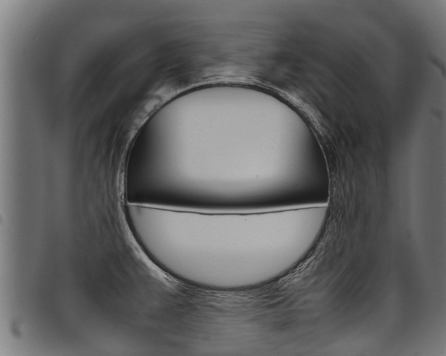 X0000098021383200803280743