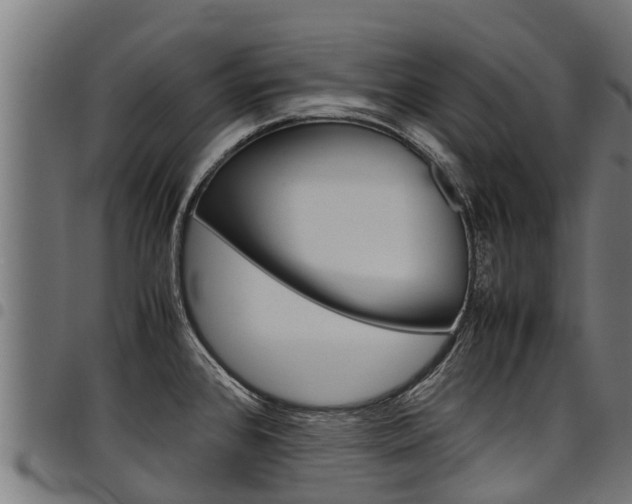 X0000098021384200803280743