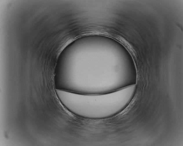 X0000098021385200803280743