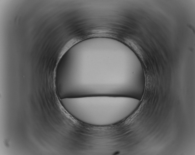 X0000098021386200803280743