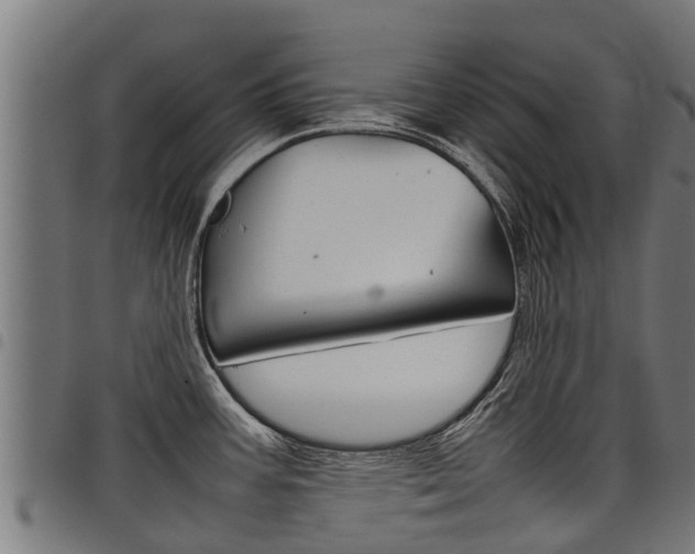X0000098021387200803280743