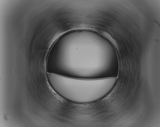 X0000098021388200803280743