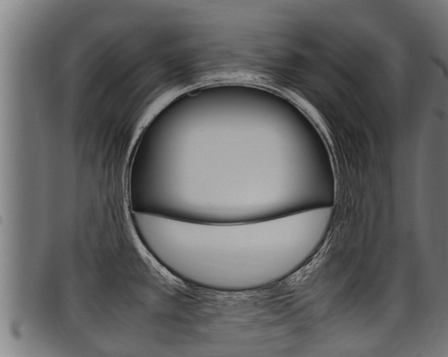 X0000098021389200803280743