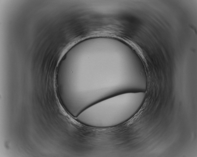 X0000098021390200803280743