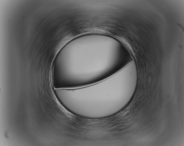 X0000098021391200803280743
