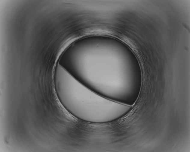 X0000098021392200803280743