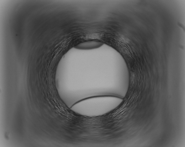 X0000098021393200803280743