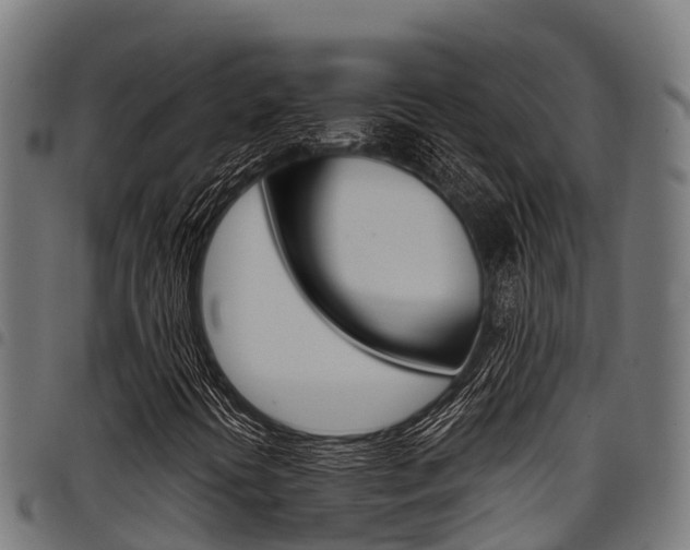 X0000098021394200803280743