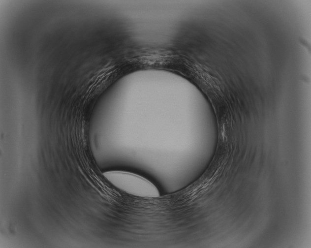 X0000098021396200803280743
