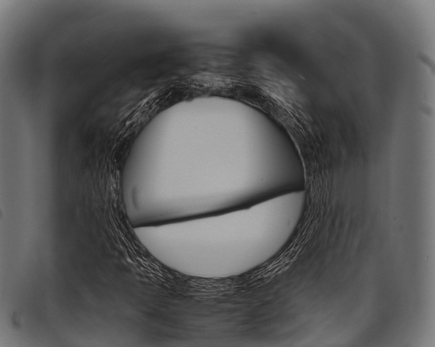 X0000098021397200803280743