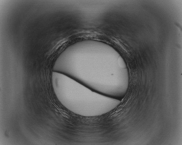 X0000098021399200803280743