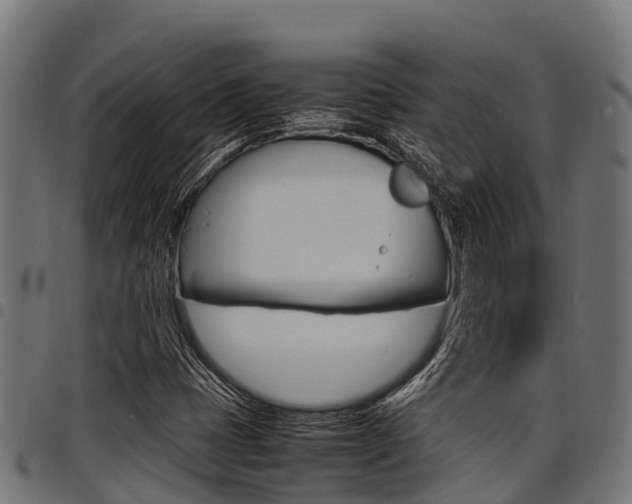 X0000098021401200803280743