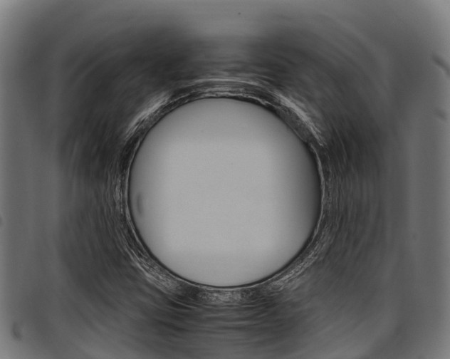 X0000098021403200803280743