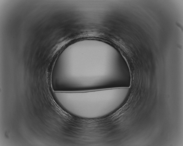 X0000098021404200803280743