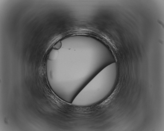 X0000098021405200803280743