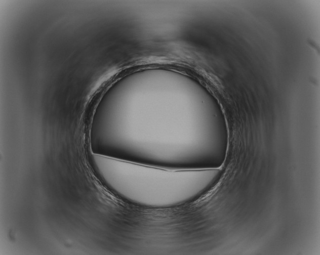 X0000098021406200803280743