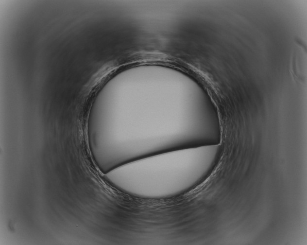 X0000098021407200803280743
