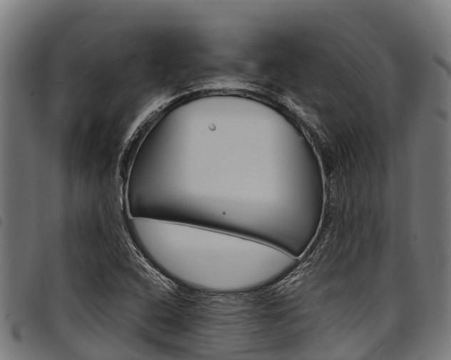 X0000098021408200803280743