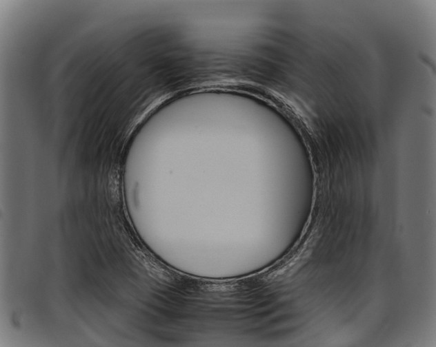 X0000098021409200803280743