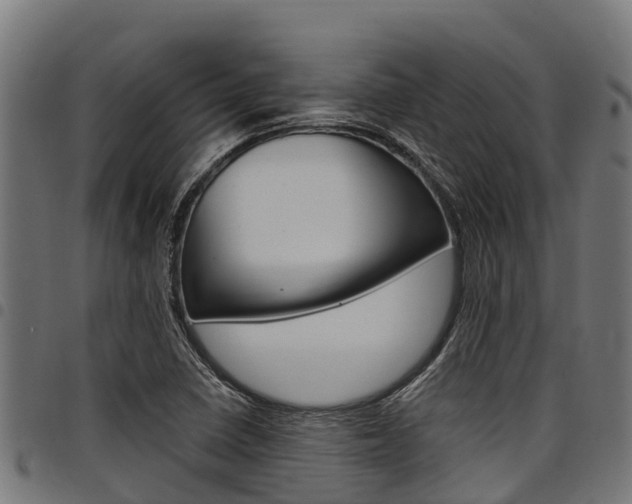 X0000098021410200803280743