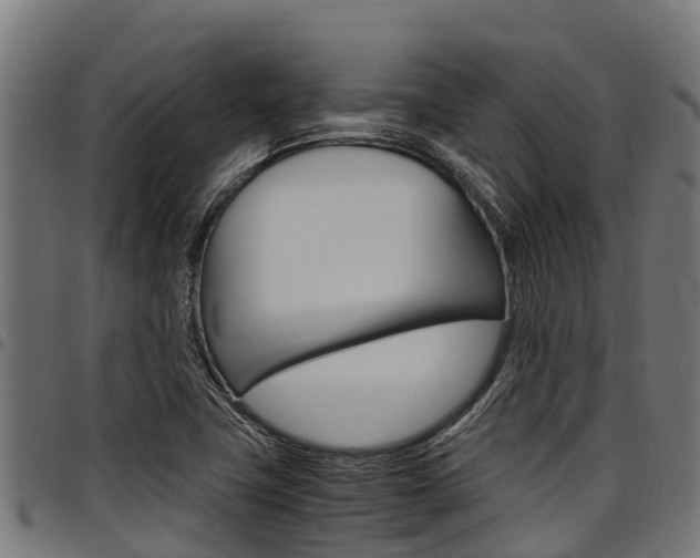 X0000098021411200803280743