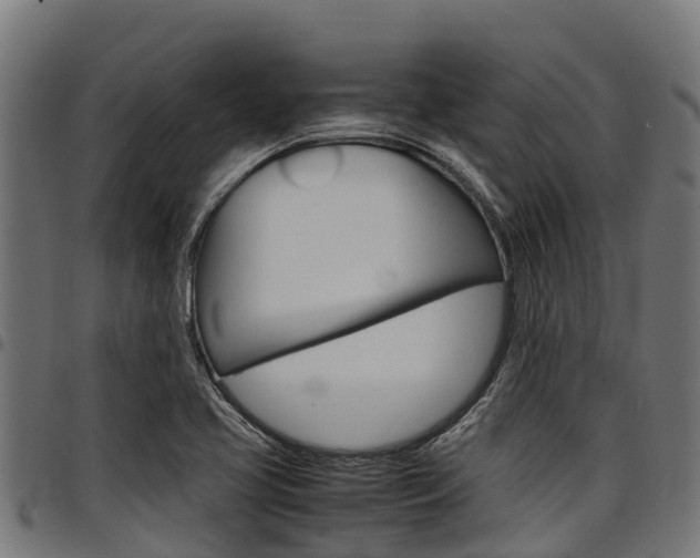 X0000098021413200803280743