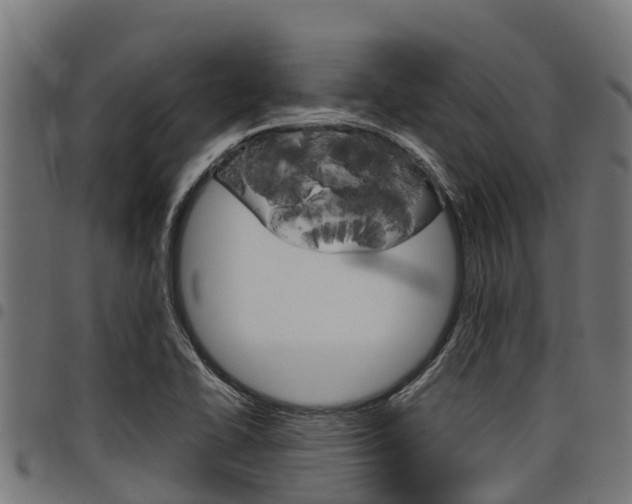 X0000098021414200803280743