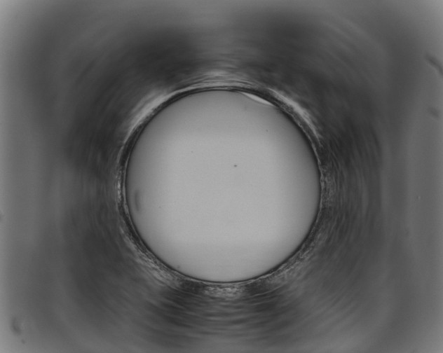 X0000098021415200803280743