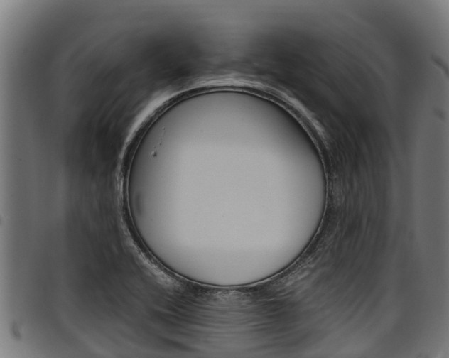 X0000098021416200803280743