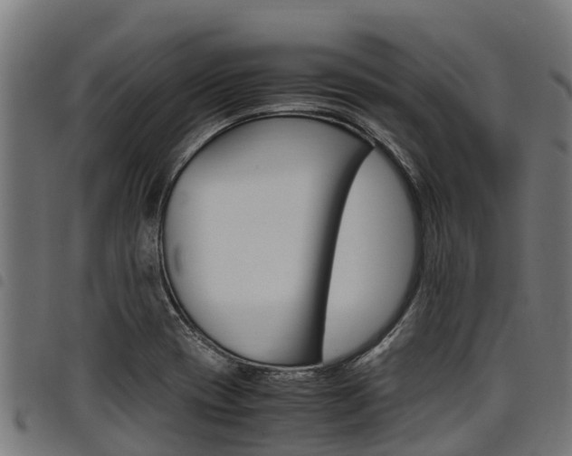 X0000098021417200803280743