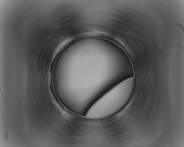 X0000098021418200803280743