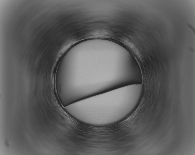 X0000098021419200803280743