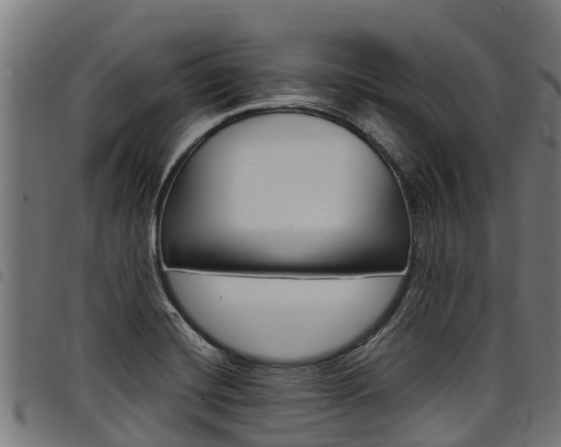 X0000098021420200803280743
