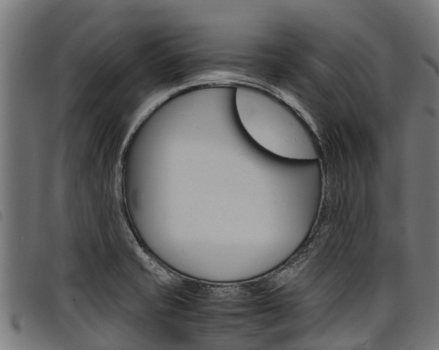 X0000098021421200803280743
