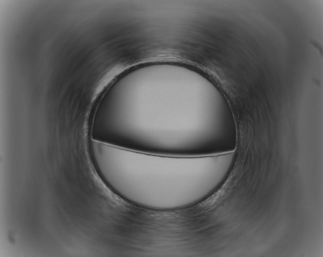 X0000098021422200803280743