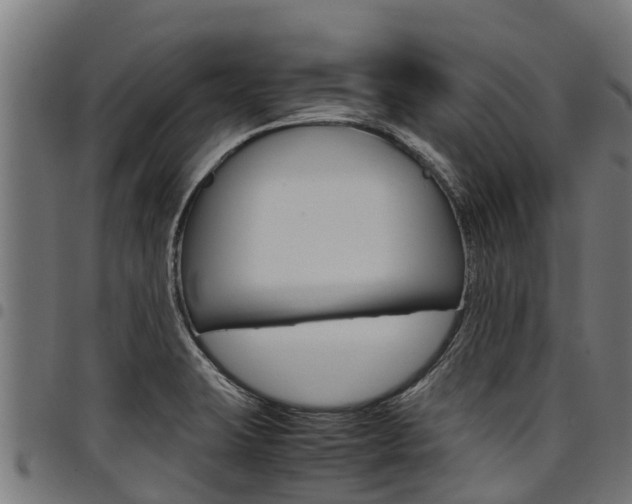 X0000098021423200803280743