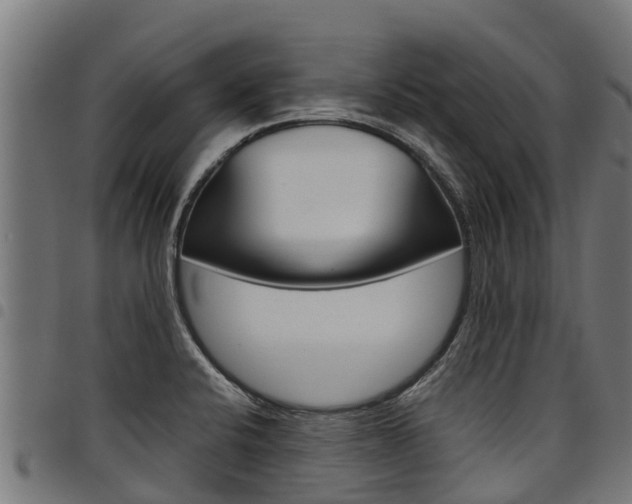 X0000098021424200803280743