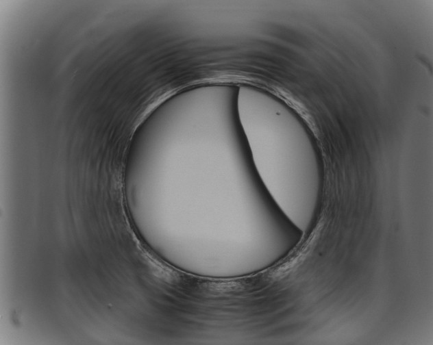 X0000098021425200803280743