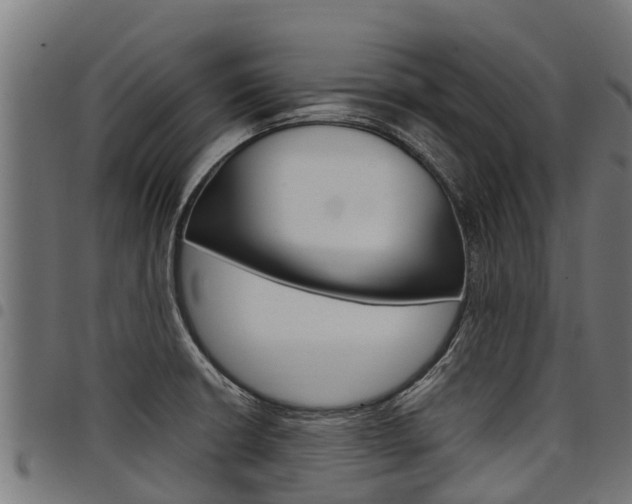 X0000098021426200803280743