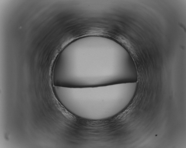 X0000098021427200803280743