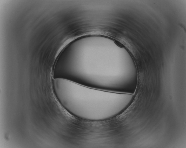 X0000098021428200803280743