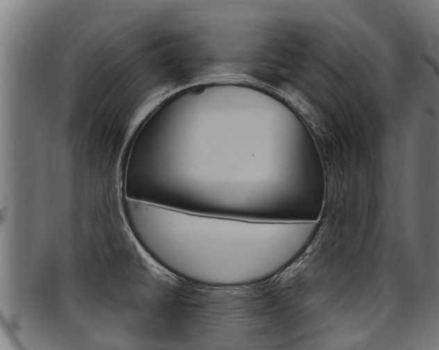 X0000098021430200803280743