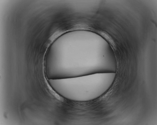 X0000098021431200803280743