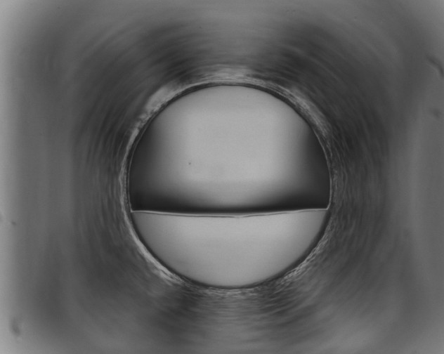 X0000098021432200803280743