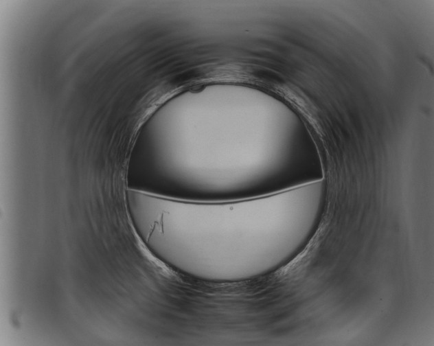 X0000098021433200803280743