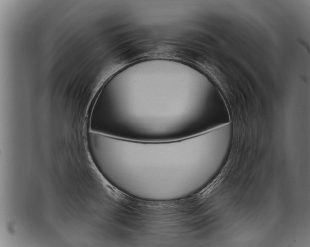 X0000098021434200803280743