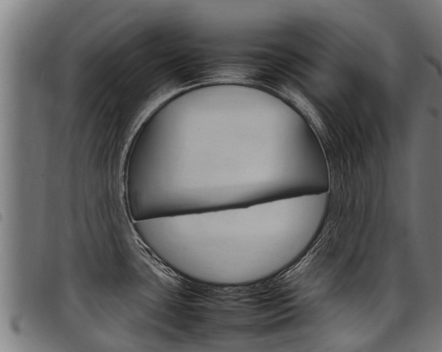 X0000098021435200803280743