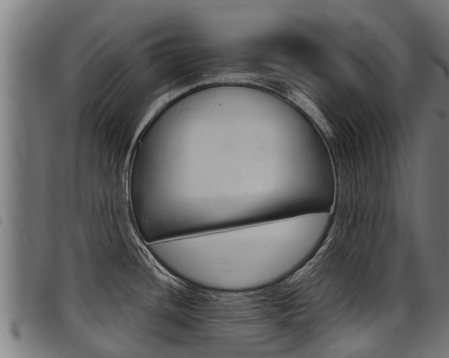 X0000098021436200803280743