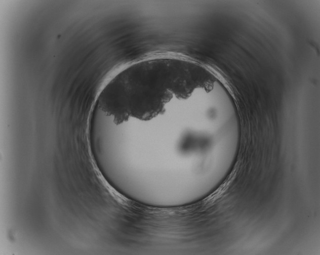 X0000098021438200803280743